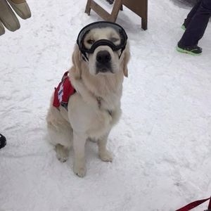 Meet your Posher, Robin